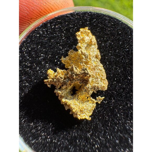 California Native Gold Crystal - 0.895 grams - Picture 4 of 5